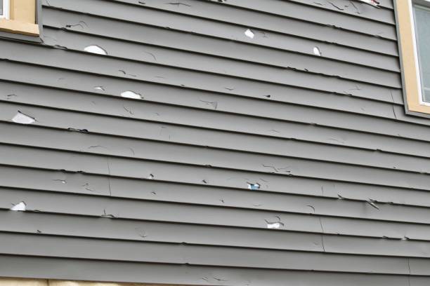 Professional Siding in Elko, NV